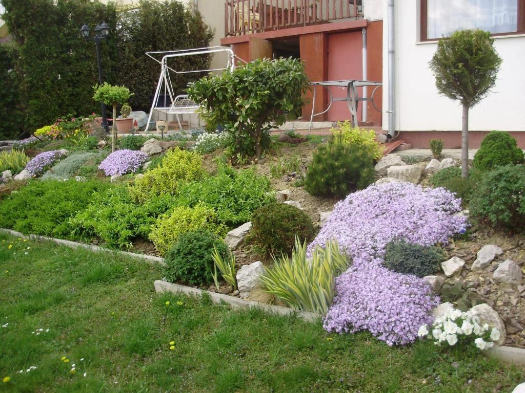 Apartman Berki Hévíz Δωμάτιο φωτογραφία